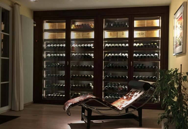 AFM SA expert en climatiseur pour cave à vin Technibel & Friax canton de Vaud. Installation & maintenance par votre frigoriste.